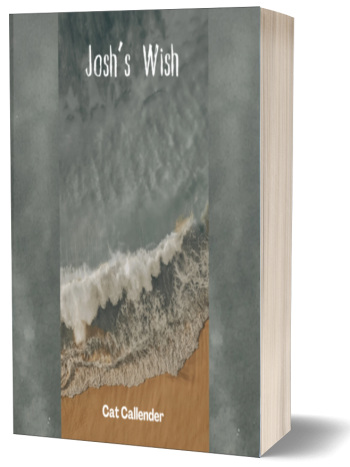 Josh's Wish: A Seaside Horror That Turns a Day Into a Spine-Chilling Mystery